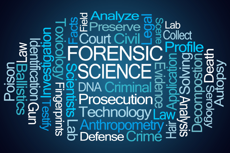 forensics-word-cloud-data-security